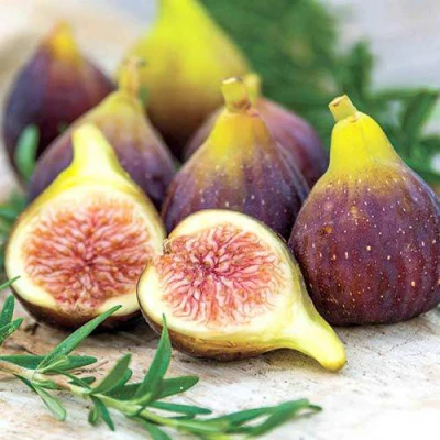 Инжир Никитский