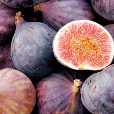 Инжир МУАССОН в Улан-Удэ