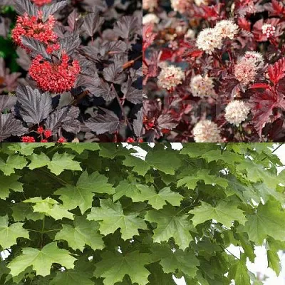 Комплект ОСЕННИЙ КОСТЕР в Улан-Удэ