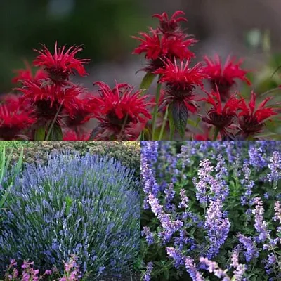 Комплект АРОМАТНЫЙ ЧАЙ в Улан-Удэ