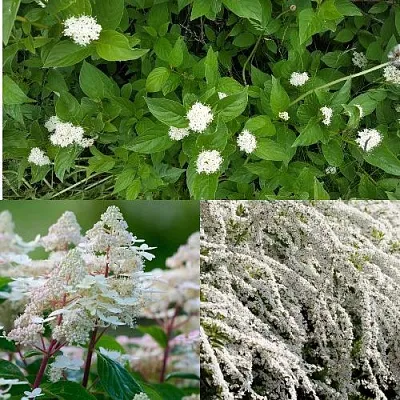 Комплект СКАНДИНАВСКИЙ СТИЛЬ в Улан-Удэ