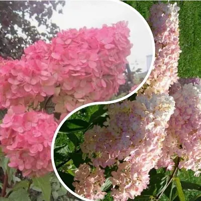 Комплект МНОГОГРАННОСТЬ в Улан-Удэ