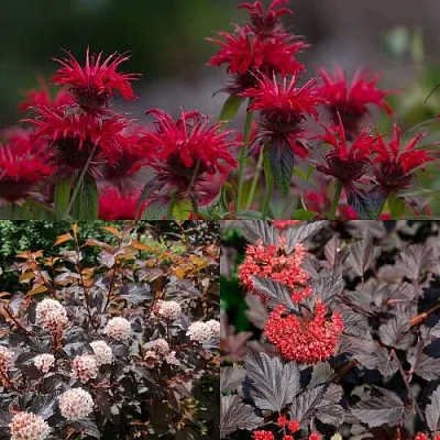 Комплект ОГНЕННЫЙ МИКС в Улан-Удэ