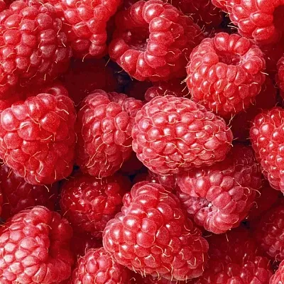 Летняя Летняя в Улан-Удэ