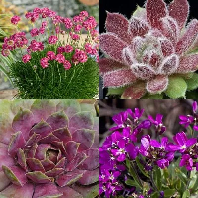 Комплект МИНИ САД в Улан-Удэ