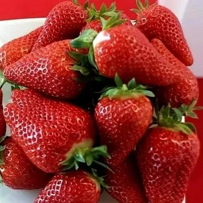 Клубника БРИЛЛА  Клубника БРИЛЛА в Улан-Удэ