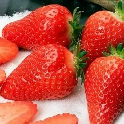 Клубника АЛЬБА  Клубника АЛЬБА в Улан-Удэ