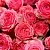 Розы