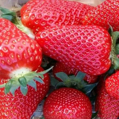 Клубника АМИ в Улан-Удэ